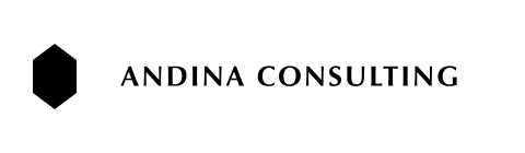 Andina Consulting